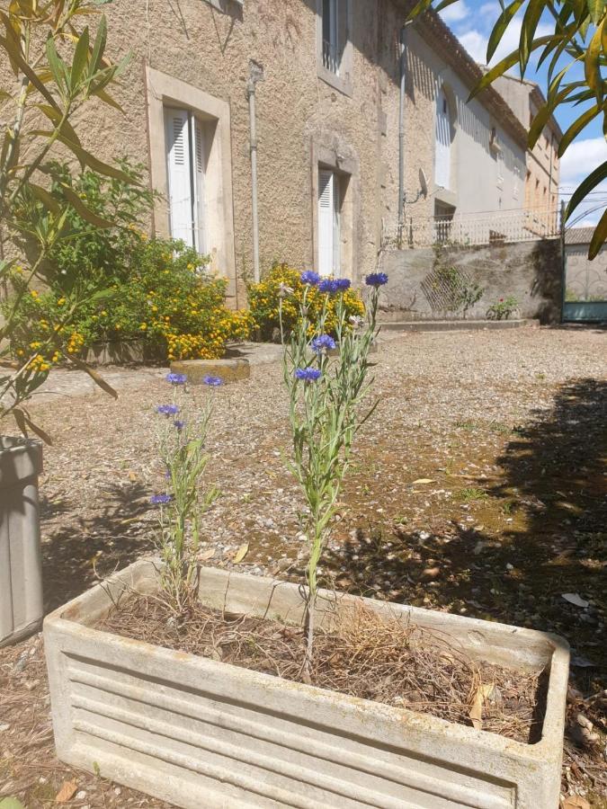 Bed and breakfast Domaine D'herminis - D'hotes Carcasona